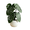 Monstera Leaf 3D Printed Coasters Non Slip Tropical Heat Resistant Mat